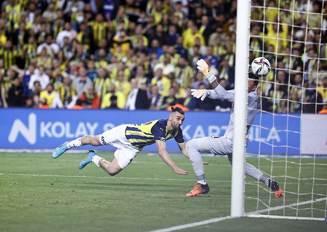 組合的專注 組合的專注