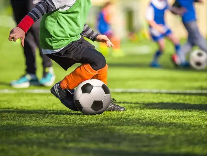 素质的重大 素质的重大