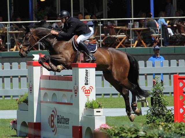 超级替补 超级替补